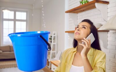 My Roof Is Leaking, What Should I Do?