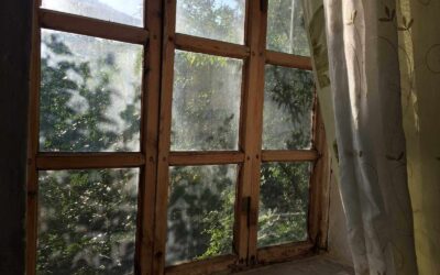 Is It Worth It to Replace Old Windows?