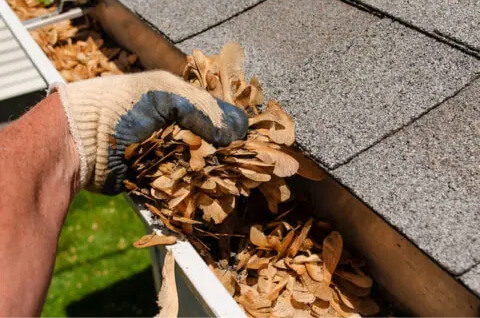 Gutters Need Cleaned