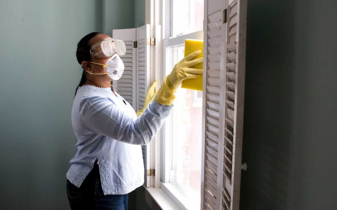 Woman cleaning mold off of window sills