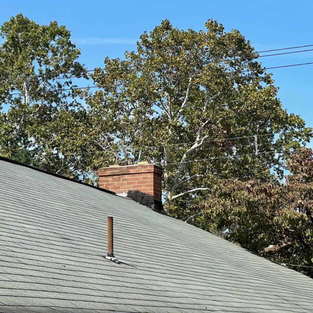 What Causes Black Streaks on Roof Shingles?