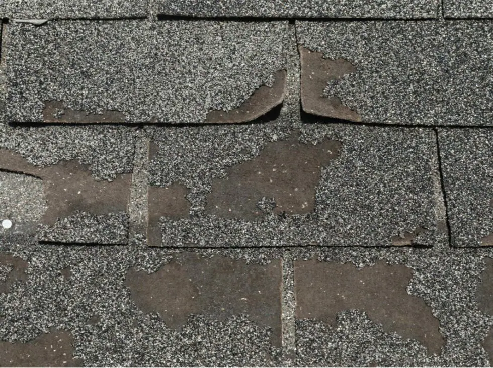 Organic Shingles Volpe Enterprises, Inc.